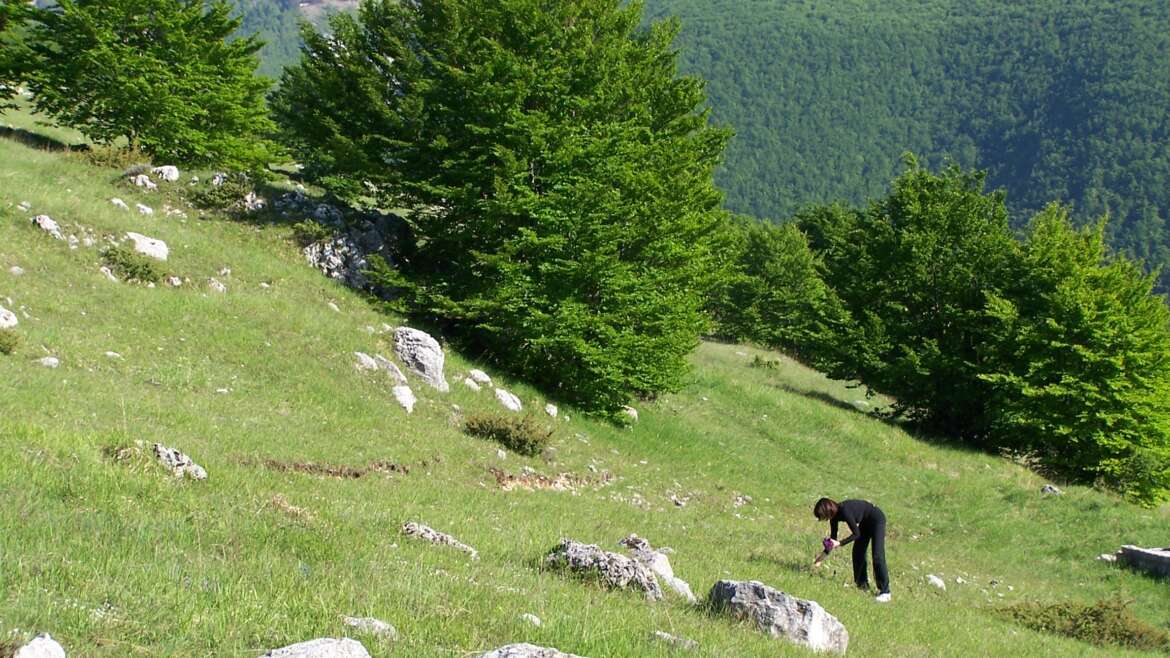 Una montagna incantevole