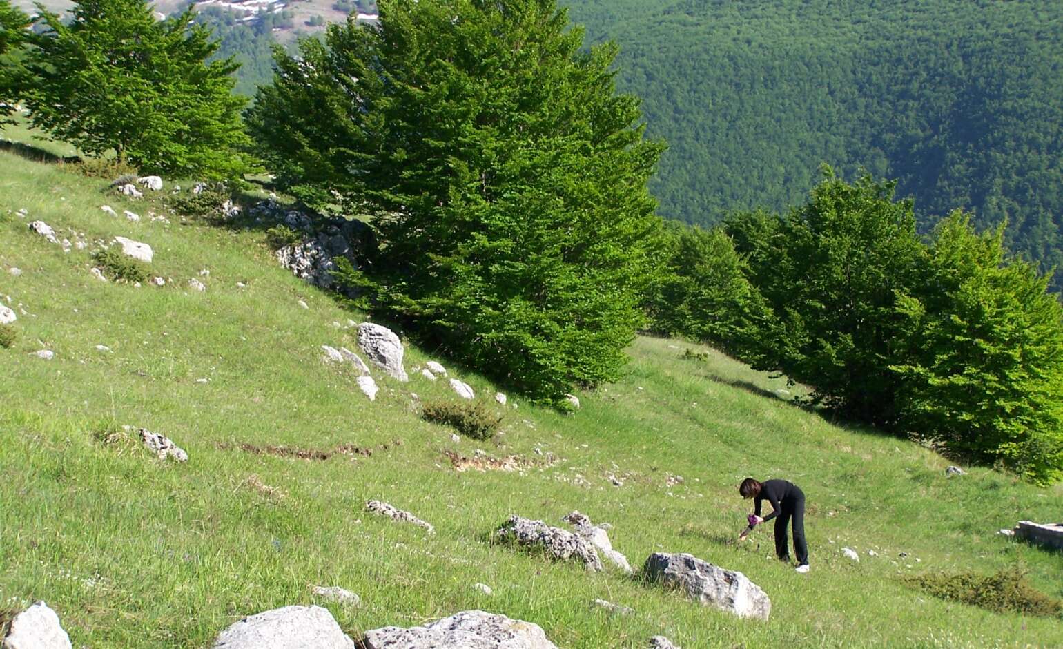 Una montagna incantevole